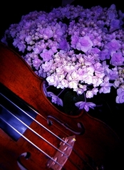 violin.JPG
